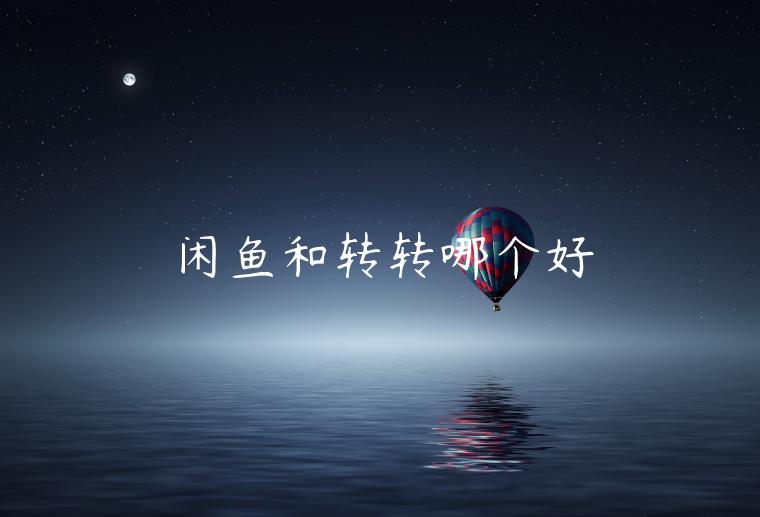 閑魚和轉(zhuǎn)轉(zhuǎn)哪個好